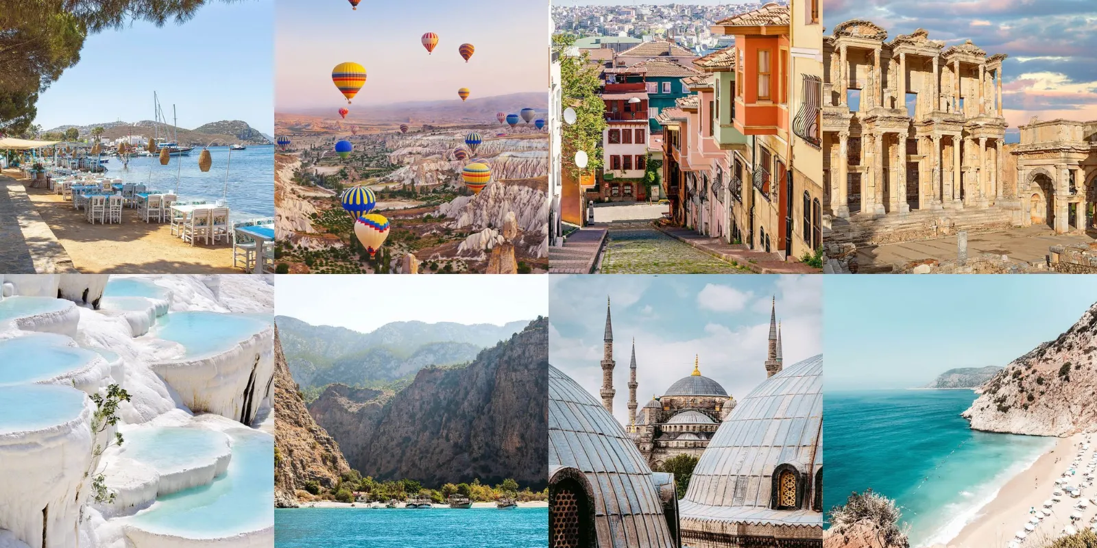 turkey